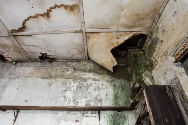 Water Damage Service in Palm Harbor