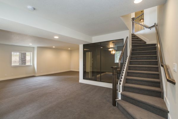 Basement Restoration Service in Palm Harbor