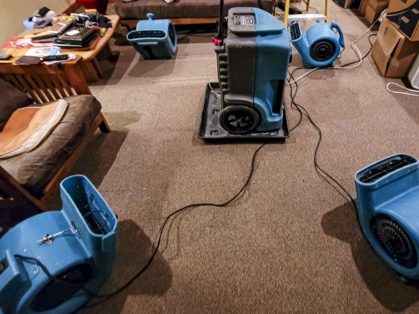 Cost of Flood Damage Recovery in Palm Harbor