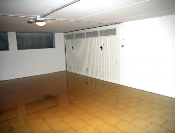 Storm Recovery Service in Palm Harbor