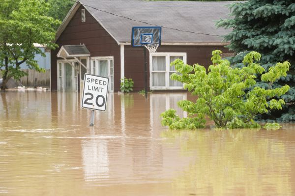 Cost of Storm Restoration Service in Palm Harbor