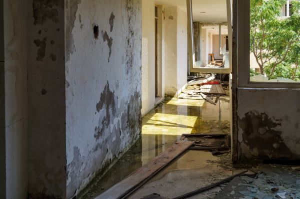 Water Removal Service in Palm Harbor