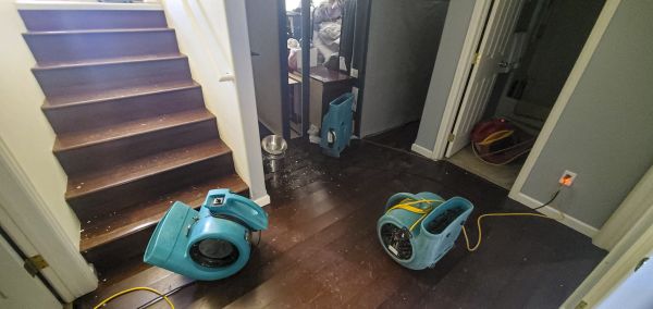 Water Damage Remediation in Palm Harbor
