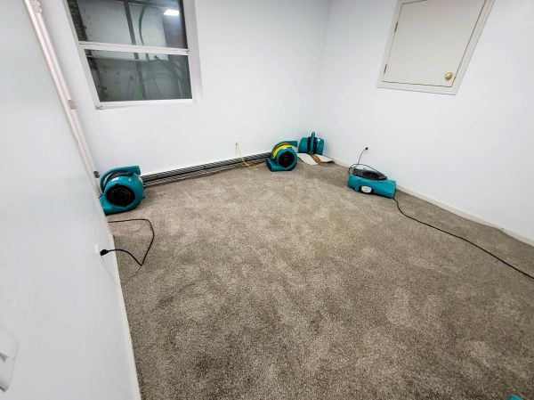 Flood Restoration Service in Palm Harbor