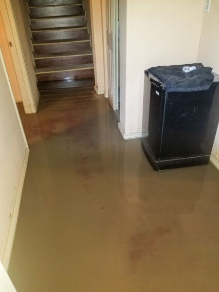 Emergency Water Removal in Palm Harbor