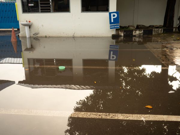 Storm Damage Repair in Palm Harbor