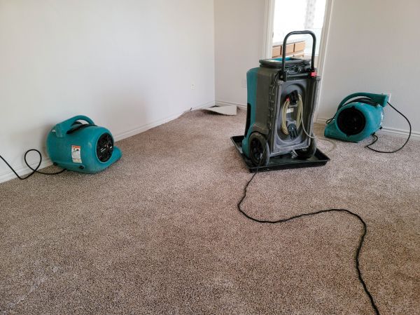 Water Damage Repair in Palm Harbor