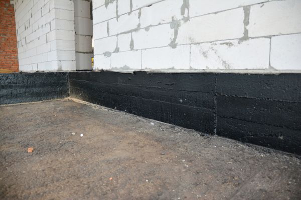 Basement Water Damage Service in Palm Harbor