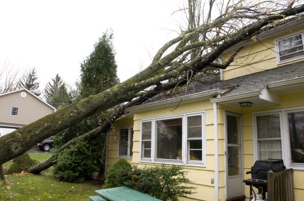 Hurricane Damage Repair in Palm Harbor