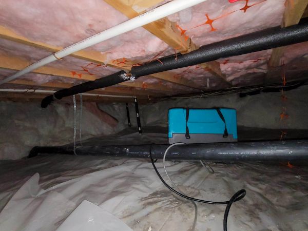 Cost of Crawl Space Water Remediation in Palm Harbor