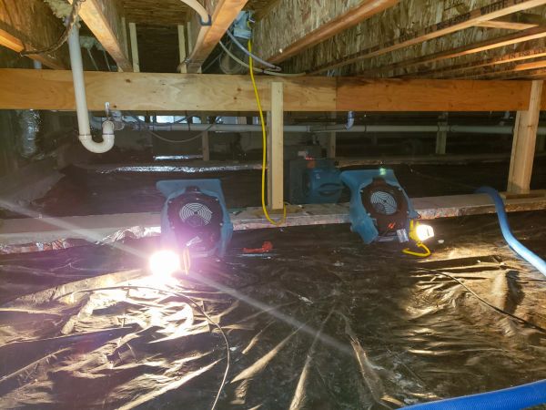 Crawlspace Water Removal in Palm Harbor