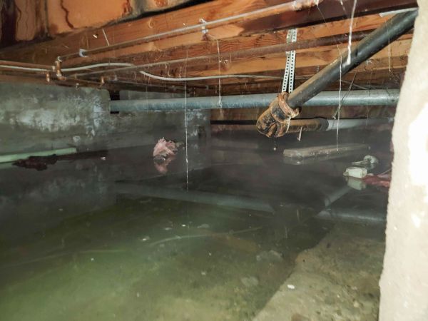 Crawlspace Water Restoration in Palm Harbor